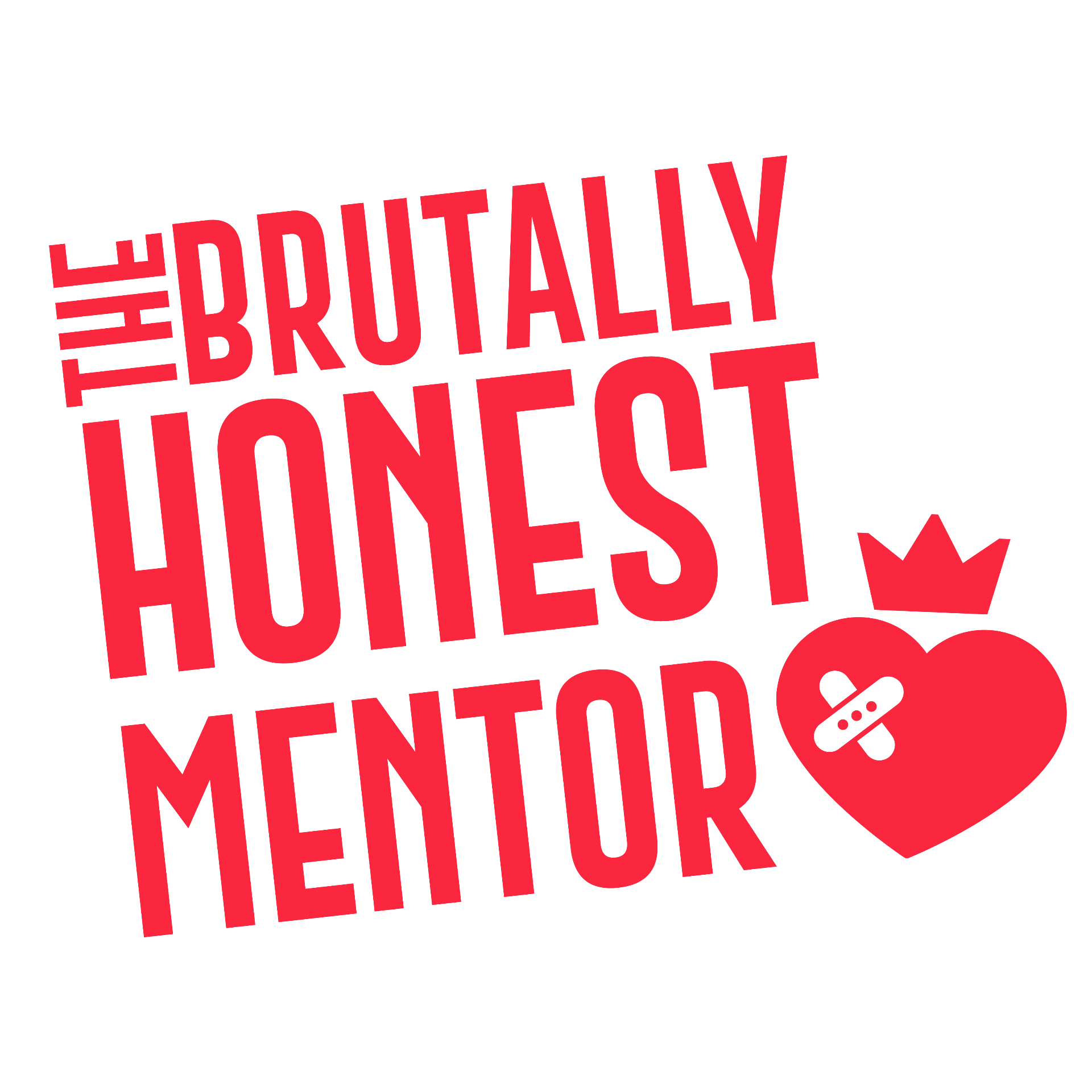 The Brutally Honest Mentor